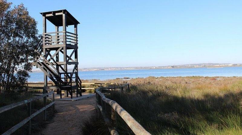 Apartamento Vistas La Mata Playa Exteriér fotografie